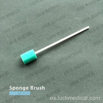 Cepillo de esponja oral desechable